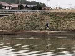 PXL_20240331_074439653.PORTRAIT.ORIGINAL