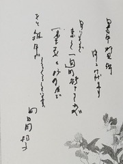 PXL_20250302_003017097