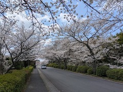 PXL_20250404_025743599