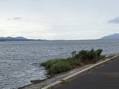 PXL_20230807_060350404