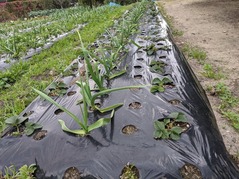 PXL_20211225_004042323