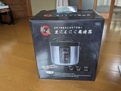 PXL_20240531_045617029