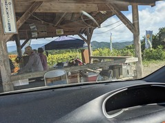 PXL_20240812_054522270