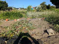 PXL_20250727_225113501