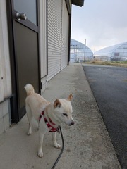 PXL_20251204_222744298.MP