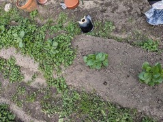 PXL_20220110_011330434