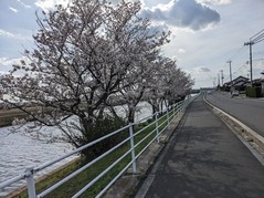 PXL_20220401_064016680