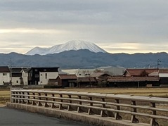 PXL_20220101_235541039.PORTRAIT