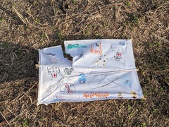 PXL_20250102_061231169