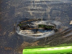 PXL_20230226_230858267