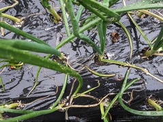 PXL_20230217_232445990