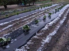 PXL_20231216_220739430