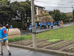 PXL_20241019_042230585