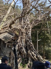 PXL_20230311_014616462.PORTRAIT