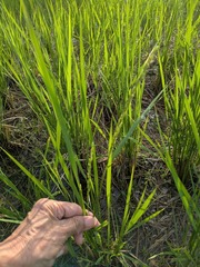 PXL_20250918_215707511