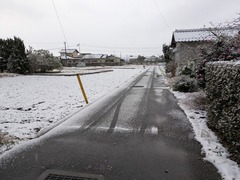 PXL_20260120_221317618.MP