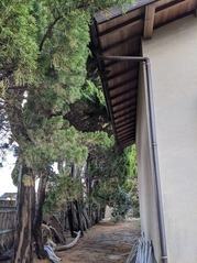 PXL_20230301_230816126