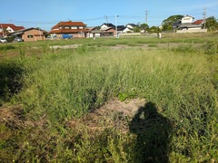 PXL_20250816_224207741