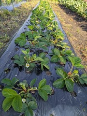 PXL_20250413_223618933