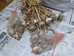 PXL_20221009_213134989