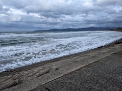 PXL_20221201_081429101