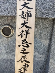 PXL_20240723_061016511