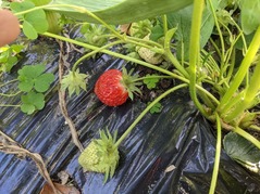 PXL_20220430_074403499