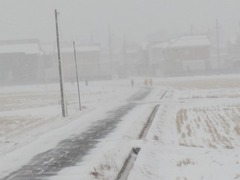 PXL_20260121_223450589