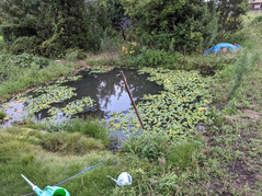 PXL_20210712_095716343 (2)