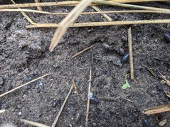 PXL_20230530_220758200