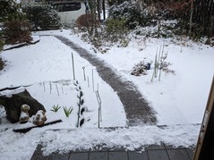 PXL_20230127_231632851