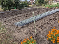 PXL_20241030_230147127