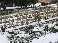 PXL_20220217_230157615