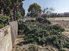 PXL_20230303_060402350