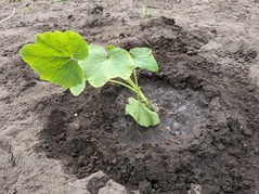 PXL_20230526_074715772