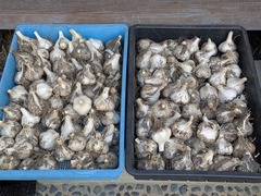 PXL_20250630_215654694.MP