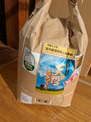 PXL_20260117_041059987