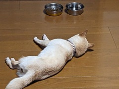 PXL_20230829_103721064