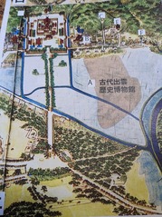 PXL_20230311_045208372