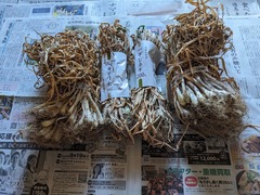 PXL_20230915_233507563