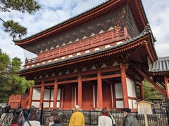 PXL_20231123_000914820