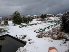 PXL_20260102_032416691