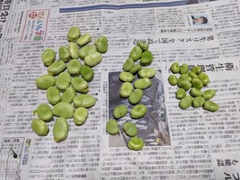 PXL_20210514_225354449