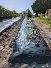 PXL_20250507_070030627