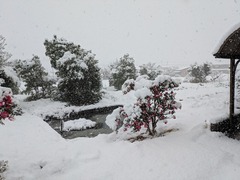 PXL_20260121_012240826.MP