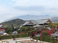 PXL_20231122_232625907