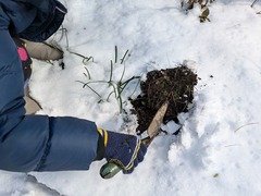 PXL_20250224_013425149