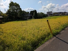 PXL_20250824_000131690.MP