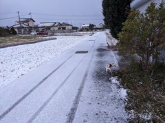 PXL_20231221_220644490