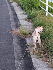 PXL_20230829_094154592